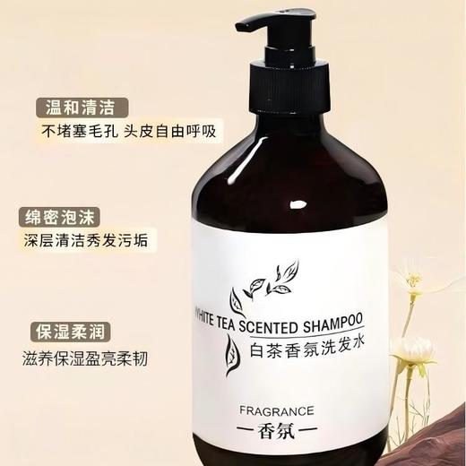 星级酒店500ml白茶香氛洗发水沐浴乳护发素宾馆SPA民宿浴场酒店 商品图1