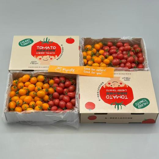 刘婆婆小甜甜「双拼小番茄」整件 约1kg 商品图2