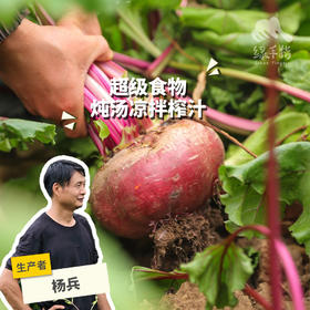 生态甜菜根（包邮） |绿家自产*Ecological Beetroot | Self-production