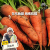 生态胡萝卜 | 绿家自产* Ecological carrot | In-House Production 商品缩略图0