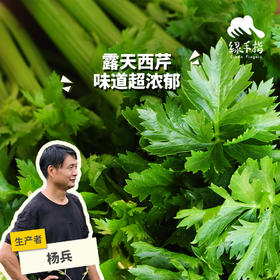 生态西芹/芹菜(一件包邮 )| 绿家自产*Eco-celery group purchase | Self-production