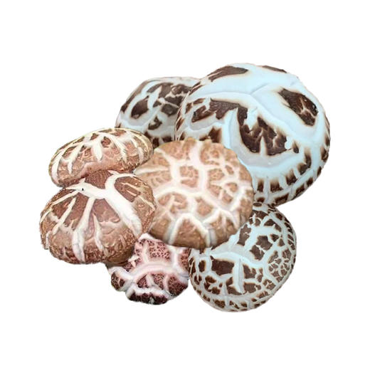 高山香菇150g/盒 商品图0