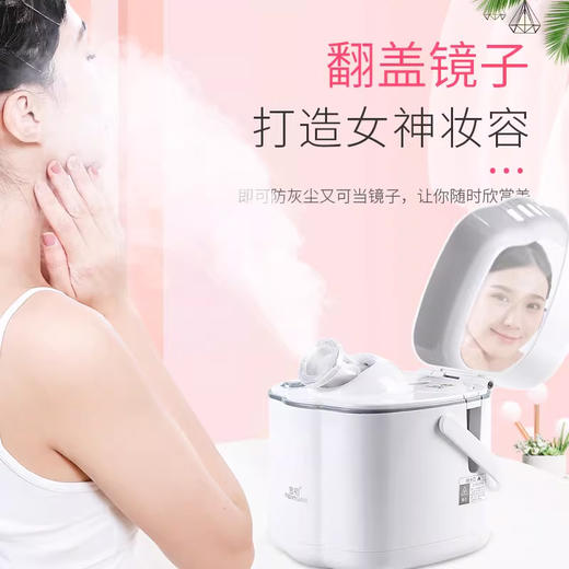 金稻 KD332V蒸脸器 热喷雾纳米离子补水仪 家用脸部美容仪 商品图4