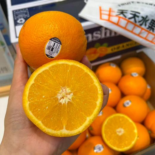 进口新奇士甜橙 榨橙汁必备 商品图0
