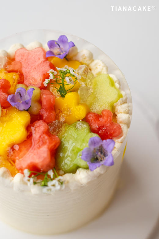 四寸玉露森林 商品图5