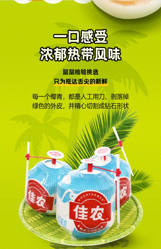 佳农 泰国进口椰青椰子水（开口椰）/个【BH】【OZR】 商品图1
