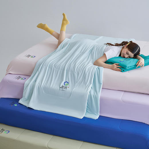 【春夏上新】自然醒卫仕•净护彩盾凉感夏被被子被芯LFS 商品图0