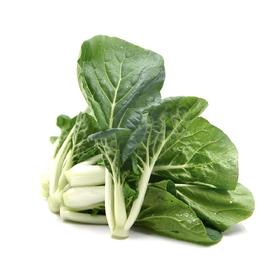 有机奶白菜250g｜芸岭鲜生