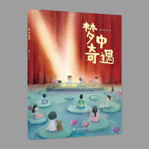 梦中奇遇 商品图0