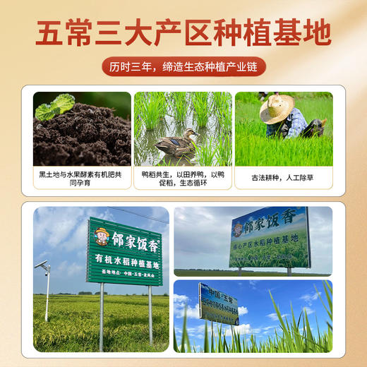 邻家饭香 大奖章五常大米 5kg LJFX99(QF) 商品图6