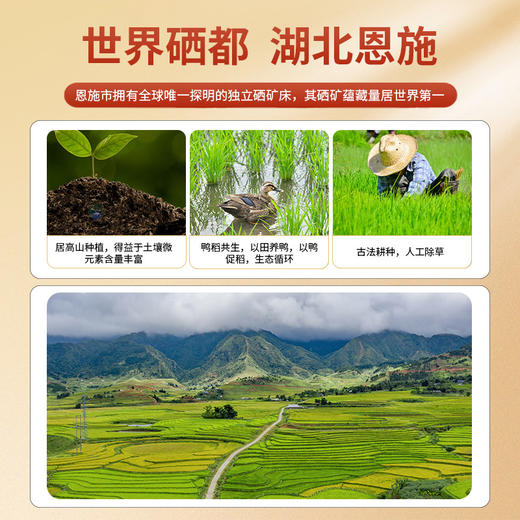 邻家饭香 高山农家香米 5kg/袋 真空双层包装  乡村振兴 消费帮扶 832系列 FP119(QF) 商品图4
