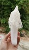 【仿野生种植】生态长裙干竹荪50g，无硫熏制，无防腐剂 商品缩略图1