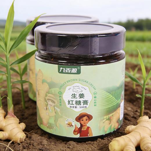 九姜源生姜红糖膏500g 商品图0