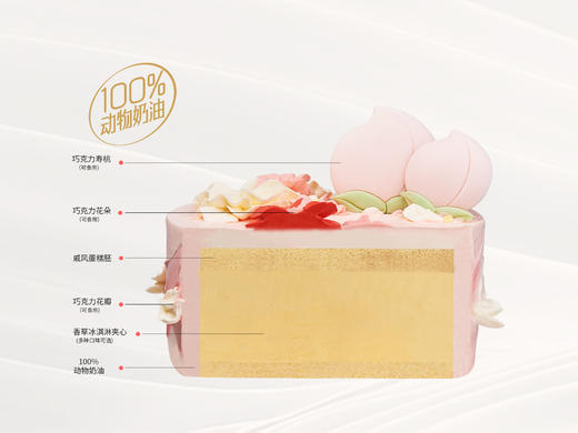 【齐梅祝寿】冰淇淋/水果生日蛋糕 商品图2