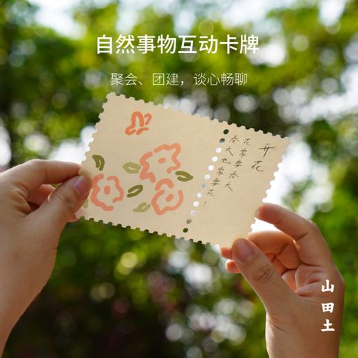 【预售4月20日发货】山田土2026年四味春茶钱塘龙井绿茶古树红茶景谷白茶紫娟普洱生茶茶叶茶具套组礼盒 商品图4