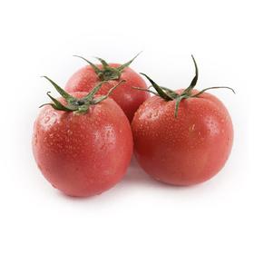 有机西红柿300g｜芸岭鲜生