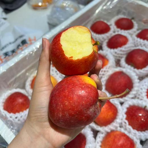 新疆爱妃小苹果 散称 商品图1