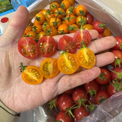 刘婆婆小甜甜「双拼小番茄」整件 约1kg 商品图5