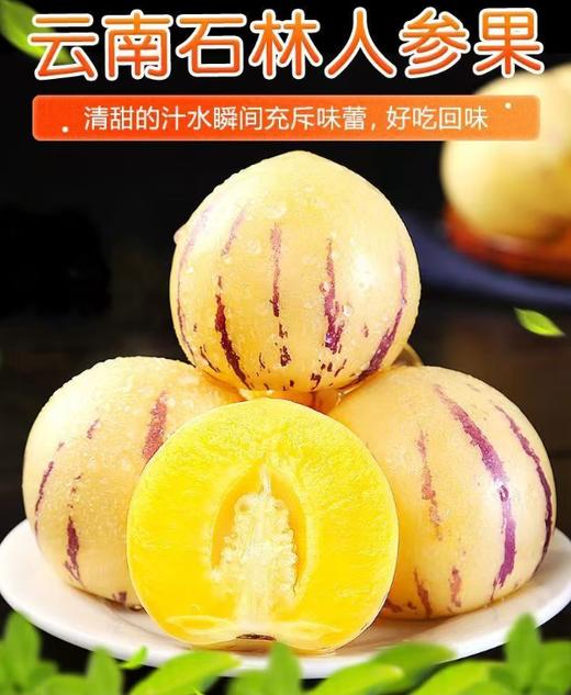 云南石林人参果-甄选果/盒【BH】【OZR】 商品图0