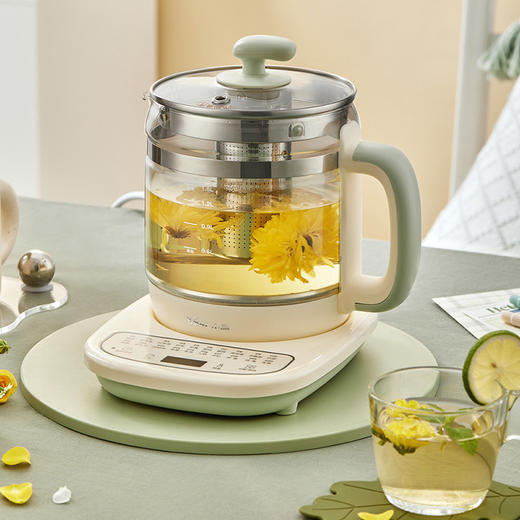 小熊（Bear）304滤网养生壶电热水壶1.5L （无货退款） 商品图1