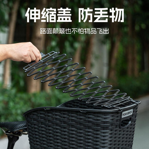 洛克兄弟山地自行车车筐后车篮后货架宠物置物框后鞍座车篓菜篮子 商品图2