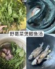 102野生葛菜 400克 商品缩略图2