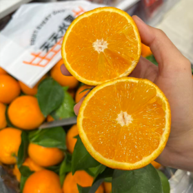 夏橙 甜蜜爆汁 新鲜橙子