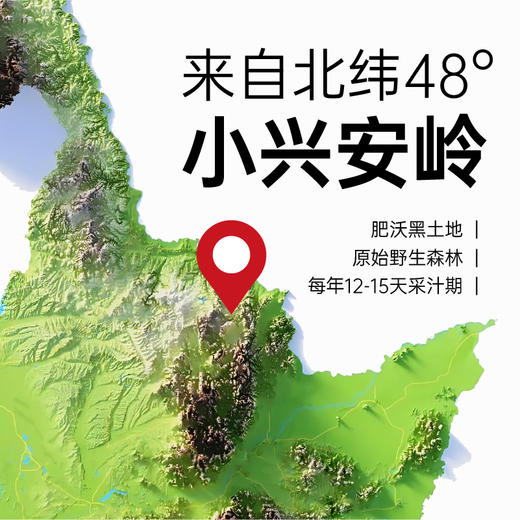 桦恬白桦树原汁330ml*6瓶 商品图4