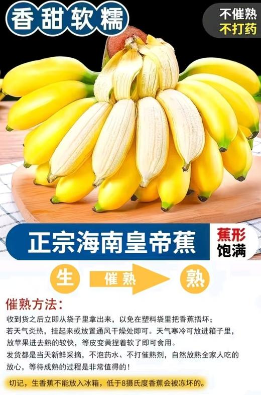 【社群团购】皇帝蕉【约3斤】【周六送货到家】【BJ】 商品图1