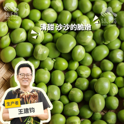  有机豌豆（带夹）|合作生产 *Organic peas | Partner Production 商品图0