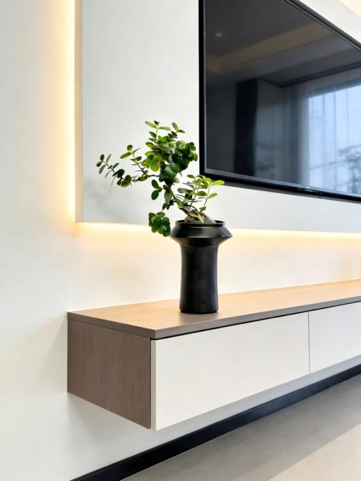 串钱木 商品图1