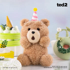 POP MART泡泡玛特 Ted2 泰迪熊可动毛绒挂件盲盒
