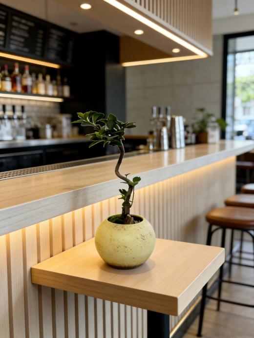 造型春花 商品图0