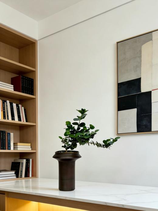 串钱木 商品图2