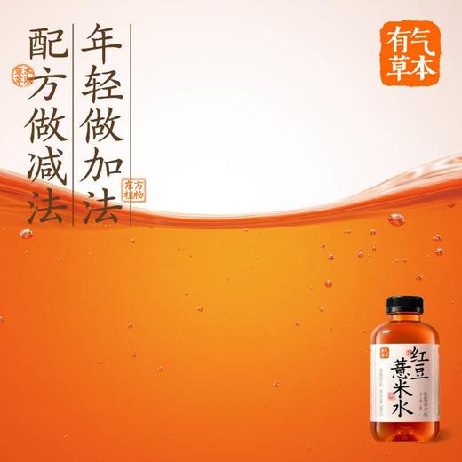 果子熟了x有气草本植物饮料红豆薏米水 500ml/瓶 商品图3