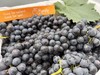 建水「蓝莓葡萄」1kg 商品缩略图3