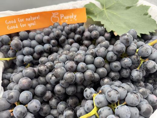 建水「蓝莓葡萄」1kg 商品图3