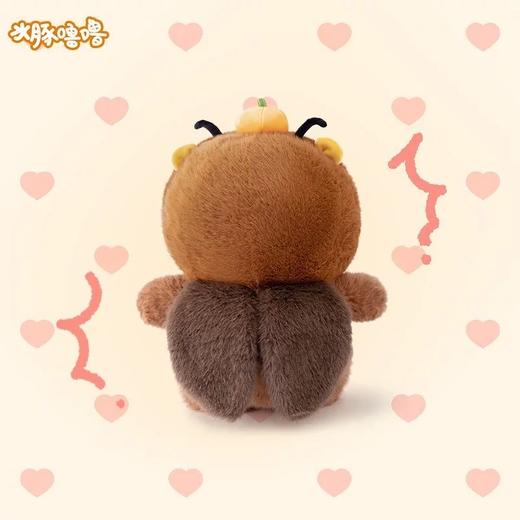 多爱水豚噜噜系列 商品图10