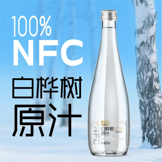 桦恬白桦树原汁330ml*6瓶 商品图1