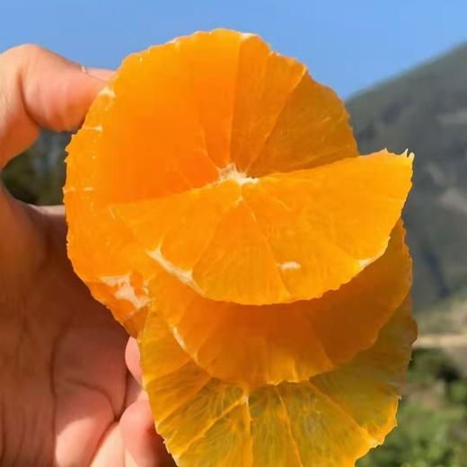 【社群团购】伦晚橙【约6斤】【周六送货到家】【BJ】 商品图0