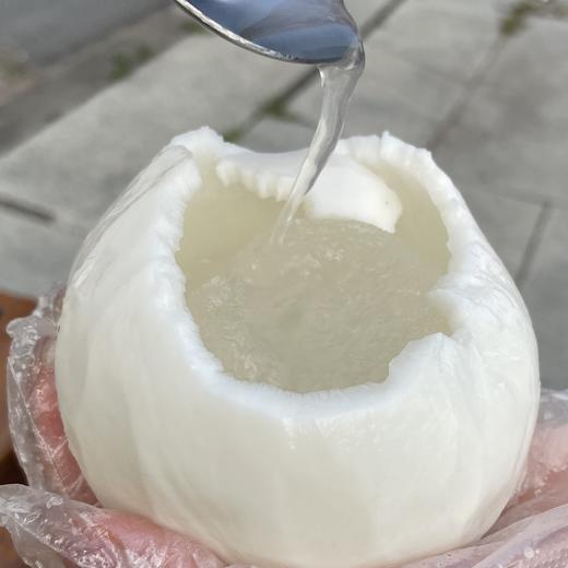 半开椰子蛋 商品图0