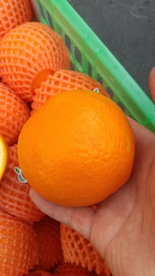 【社群团购】伦晚橙【约6斤】【周六送货到家】【BJ】 商品图1