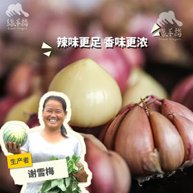 生态紫皮蒜头（干蒜）| 合作生产*Ecological purple-skinned garlic bulb| Partner Production