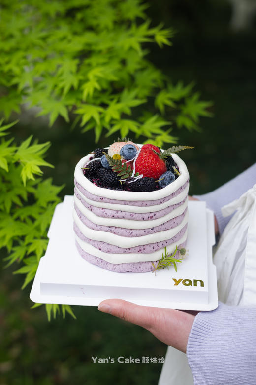 桑葚莓莓 商品图0