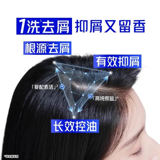【官方正品】海飞丝去屑洗发露 清爽去油型 200g 柠檬香型 控油蓬松 去屑止痒 男士女士通用 家庭装 商品图1