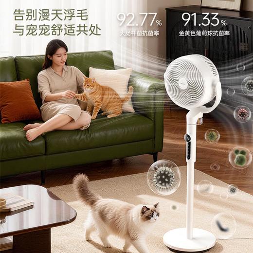 西点8寸空气循环扇+驱蚊 XD-2037FD 商品图0