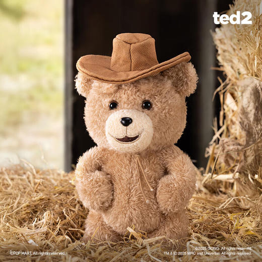 POP MART泡泡玛特 Ted2 泰迪熊可动毛绒挂件盲盒 商品图4