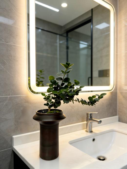 串钱木 商品图1