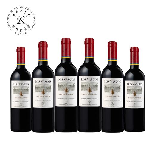 (测试勿拍)拉菲罗斯柴尔德巴斯克有格干红葡萄酒智利原瓶进口红酒2022年份 商品图0