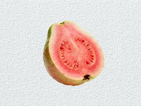 【新品】芭乐益力多